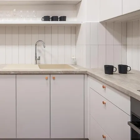 Minimalistic House In Vinohrady By Days Prague